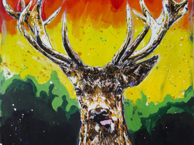 hirsch